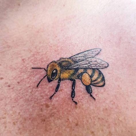 Little honey bee I tattooed awhile back. 🐝 @withlovetattoo #tattoo #tattoos #ink #brisbane #brisbanetattoo #brisbanetattooers #brisbanetattooer #honeybee #bee #beetattoo #honeybeetattoo #insecttattoo View on Instagram bit.ly/2I1ft1p: http://bit.ly/2I1ft1p Bee Tattoo Meaning, Honey Bee Tattoo, Bumble Bee Tattoo, Bug Tattoo, Insect Tattoo, Cute Tiny Tattoos, Dragonfly Tattoo, Bee Tattoo, Baby Tattoos