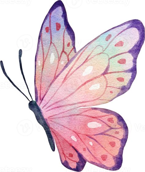 Butterfly Watercolor Illustration Butterfly Art Illustration, Simple Art Illustration, Cute Drawings Of Butterflies, Two Butterfly Drawing, Pretty Butterflies Drawing, Butterfly Drawing Illustration, Buterfluffy Illustration, Butterfly In Watercolor, Simple Butterfly Watercolor