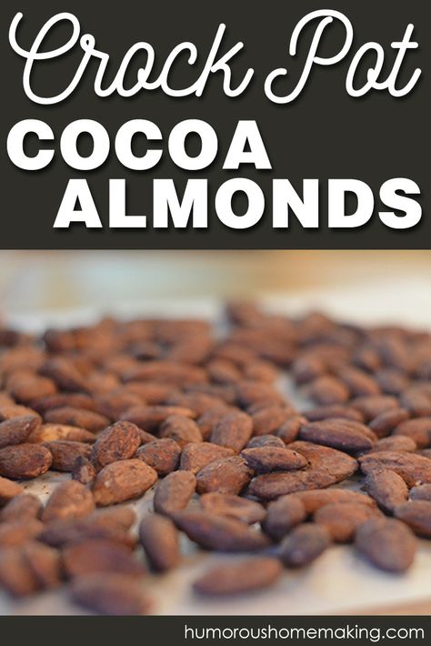 Cocoa Almonds Recipe, Spiced Nuts Recipe Crock Pot, Crock Pot Cocoa, Crockpot Cocoa, Cocoa Almonds, Easy Camping Breakfast, Christmas Nuts, Nut Snacks, Snack Mix Recipes