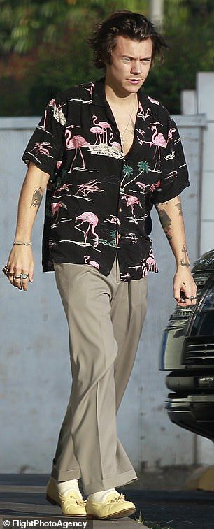 Harry Styles Hawaiian Shirt, Styling Vintage Shirts, Flamingo Hawaiian Shirt, Tropical Shirt Outfits Men, Harry Styles Summer Outfit, Harry Style Outfits, Hawian Shirt Outfits, Hawaiian Shirt Outfit Mens Aesthetic, Harry Styles Casual Outfit