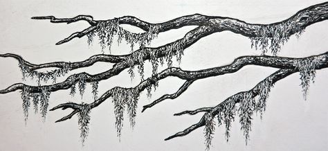 Spanish Moss | by Stampscapes Oak Tree With Spanish Moss Tattoo, Moss Ink Drawing, Spanish Moss Illustration, Spanish Moss Drawing, Spanish Moss Tree Tattoo, Moss Tree Tattoo, Moss Tattoo Design, Moss Tattoo Nature, How To Draw Moss