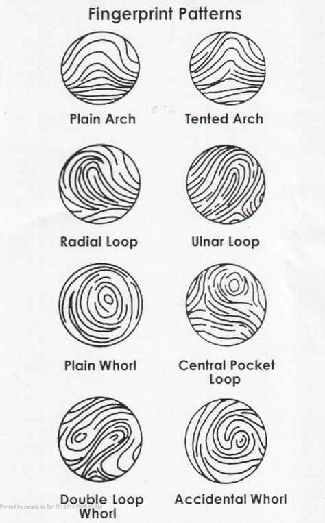 Fingerprint Pattern Facts | The different types of patterns in fingerprinting.: Types Of Fingerprints, Science Classroom Decor, Cub Scouts Bear, Science Classroom Decorations, Science Computer, Forensic Anthropology, Engineering Books, Spy Party, Forensic Scientist