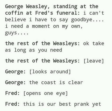 Me: NO THIS IS THE WORST! IF THIS WAS REAL I WOULD GO BACK AND KILL BOTH OF YOU!!!!!!!!! Harry Potter Imagine, Harry Potter Memes Hilarious, Harry Potter Pin, Harry Potter Puns, Funny Harry Potter, District 9, Fred And George, Fred And George Weasley, In Denial