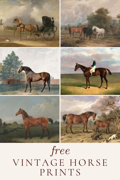 These free vintage horse prints are great to add to your home and they are FREE! In our barndominium upstairs bunk room I wanted to add art that (1) wasn’t expensive and (2) felt like classic countryside. You know…casual but with sophistication. These vintage horse prints above each twin bed adds a little color and whimsy too while still being classic. Get your hands on these vintage horse prints. Just download, print, frame and display anywhere you like. Black Horse Illustration, Free Printable Artwork Vintage Posters, Free Printable Horse Pictures, Free Classic Art Prints, English Country Wall Art, Vintage Equestrian Art, Free Antique Printables, Digital Art Horse, Free Vintage Art Prints