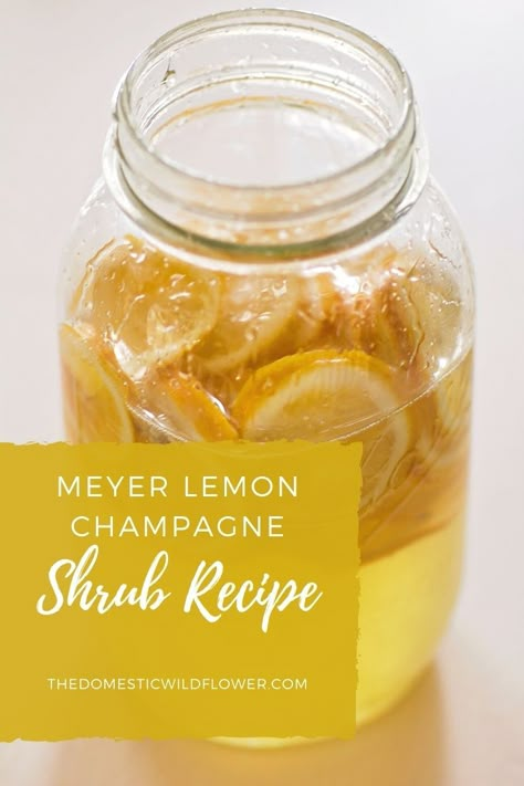 Lemon Shrub Recipe, Homemade Champagne, Low Fodmap Food List, Lemon Ideas, Shrub Drink, Fodmap Food List, Fruit Powders, Fruit Shrub, Shrub Recipe