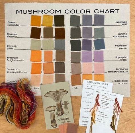 WildCraft Studio School on Instagram: “👋 MUSHROOM and NATURAL DYE lovers! Y’all already swooped up the last spot in our Mycology & Color class with the wonderful Julie Beeler…” Fabric Dyeing Techniques, Dye Techniques, Earth Pigments, Green Craft, How To Tie Dye, Botanical Dyeing, Pigment Coloring, Textile Fiber Art, Mushroom Art