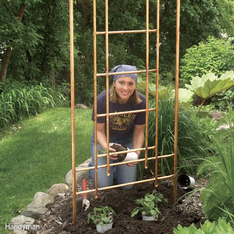 Build a Copper Trellis for Your Garden Copper Trellis, Patio Trellis, Garden Arch Trellis, Patio Pond, Planter Trellis, Arch Trellis, Trellis Ideas, Raised Planter Beds, Climbing Flowers