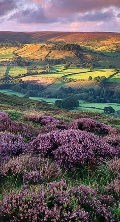 Scenic vista in Rosedale, North Yorkshire, England • photo: Katty Paris on Flickr Magic Places, Have Inspiration, Yorkshire England, Greenwich Village, Rolling Hills, English Countryside, North Yorkshire, Pretty Places, The Landscape