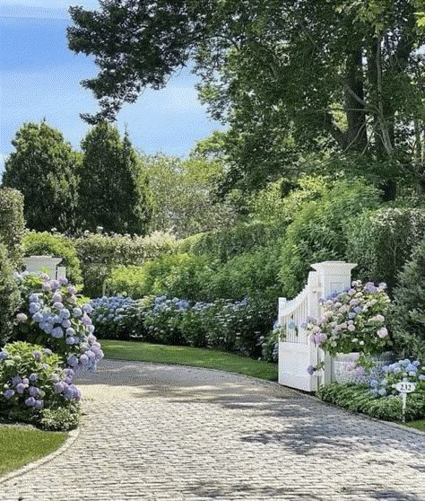 Hamptons Summer, Dream Life House, Growing Hydrangeas, Dream Beach Houses, Cape Cod House, Hamptons House, Home Landscaping, Dream House Interior, Dream House Exterior