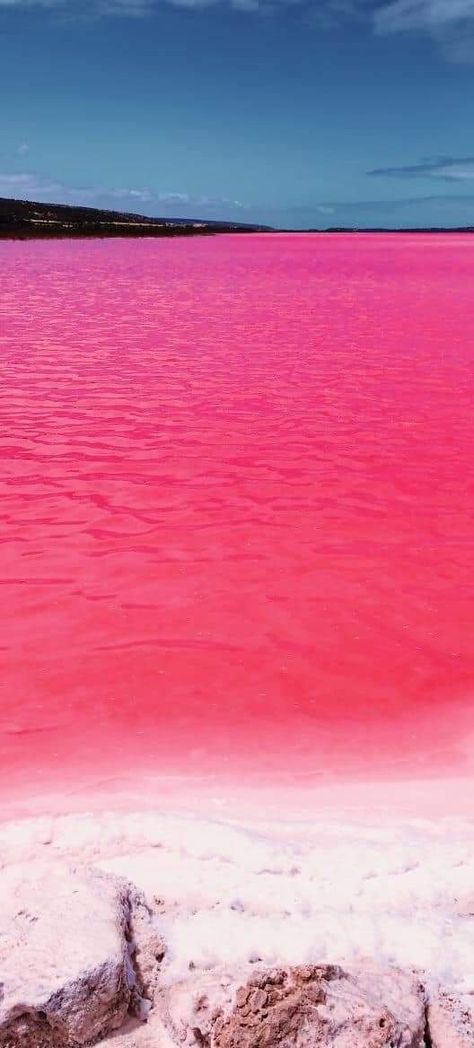 Pink Lagoon, Australia Pink Lagoon, Australia, Pink