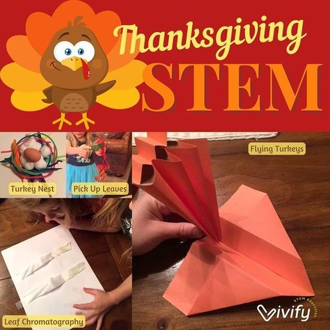 From designing turkey nests to designing a better way to pick up leaves, we have compiled a list of our favorite Thanksgiving and fall STEM activities to celebrate the season! Seasons Stem Activity, Fall Stem Challenges Elementary, Turkey Stem Activities Kindergarten, Turkey Stem Activities, Middle School Thanksgiving Activities, Thanksgiving Stem Activities For Kids, Thanksgiving Upper Elementary, Fall Stem Activities For Kids, November Stem Activities