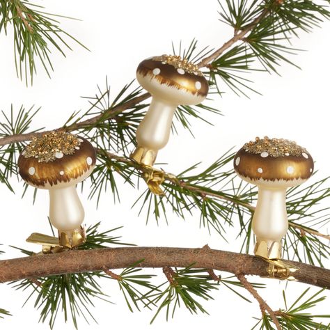 Ivory And Gold Glass Mushroom Clip Ornaments 6 Pack - World Market World Market Mushroom, Mushroom Ornaments Diy, Moss Ornaments, Kardashian Christmas, Folk Christmas, Moody Christmas, Jar Decorations, Mushroom Ornaments, Christmas Nostalgia