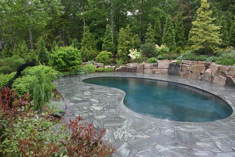 Kidney Pool, Kidney Shaped Pool, Pool Design Ideas, Pool Shapes, Swimming Pool Landscaping, Swimming Pool Ideas, Inground Pool, Backyard Pool Landscaping, Small Pools