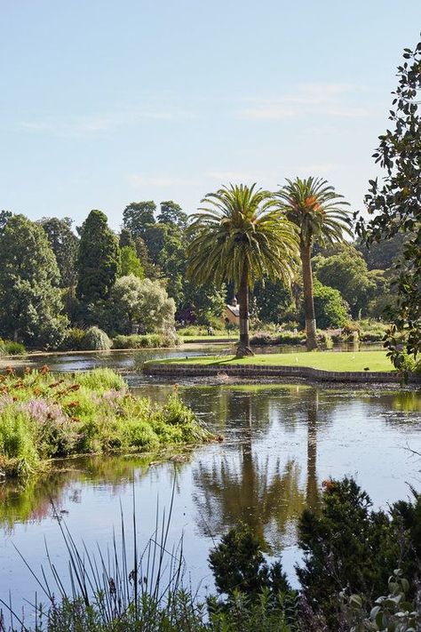 Botanical Gardens Melbourne, Melbourne Botanical Gardens, Melbourne Garden, Botanical Sketches, Brand Activations, Future Garden, Japan Garden, South Melbourne, California Garden