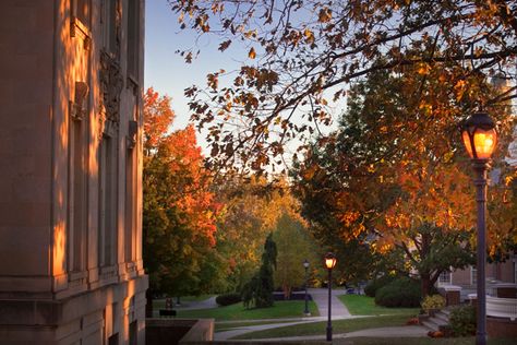 College Halloween Aesthetic, Lafayette College, Leaves Falling, Fall Mood Board, Stars Hollow, Fall Inspo, Season Of The Witch, Fall Feels, Autumn Vibes