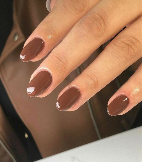 Short Sns Nails Fall, Fall Nail Ideas Brown, Short Oval Brown Nails, Brown Nails Sns, Brownish Orange Nails, Fall Short Round Nails, Short Almond Brown Nails, Short Round Brown Nails, Short Almond Dip Nails Fall