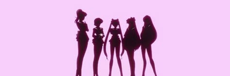 Pink Twitter, Twitter Header, Different Types, Sailor Moon, Moon, Twitter, Flowers, Pink