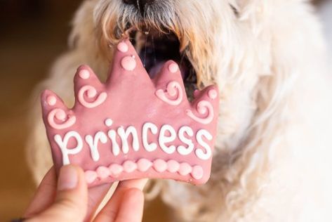 Easy Icing for Dog Treats Dog Icing Recipe, Dog Treat Icing Recipe, Dog Shelf, Pumpkin Spice Sugar Cookies, Cookies With Sprinkles, Dog Cookie Recipes, Spice Sugar Cookies, Dog's Birthday, Easy Icing