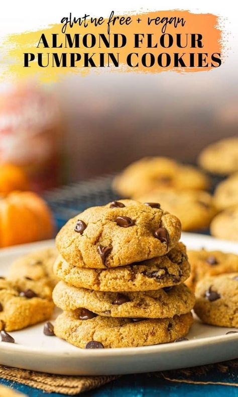 Healthy Pumpkin Cookies Almond Flour, Healthy Pumpkin Recipes Almond Flour, Almond Flour Pumpkin Cookies Keto, Vegan Gluten Free Pumpkin Chocolate Chip Cookies, Almond Flour Pumpkin Chocolate Chip Cookies, Pumpkin Chocolate Chip Cookies Gf, Almond Flour Fall Desserts, Gluten Free Pumpkin Cookies Almond Flour, Pumpkin Cookies With Almond Flour