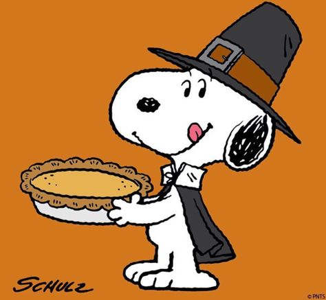 Snoopy Peanut Pictures, Thanksgiving Snoopy, Peanuts Thanksgiving, Thanksgiving Cartoon, Charlie Brown Thanksgiving, Thanksgiving Pictures, Thanksgiving Images, Thanksgiving Wallpaper, Snoopy Images