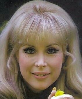 Barbara has Those Pretty Eyes Barbara Eden, I Dream Of Jeannie, Dream Of Jeannie, Actrices Hollywood, Famous Women, Vintage Hollywood, Famous Faces, Classic Beauty, Vintage Beauty