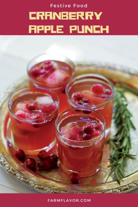 Cranberry Apple Punch Serve this sweet, seasonal punch at your next party or gathering. Caramel Apple Bundt Cake, Cranberry Apple Juice, Pumpkin Butternut Squash, Apple Facts, Apple Punch, Delicious Apple Recipes, Tennessee Restaurants, Apple Bundt Cake, Cranberry Apple