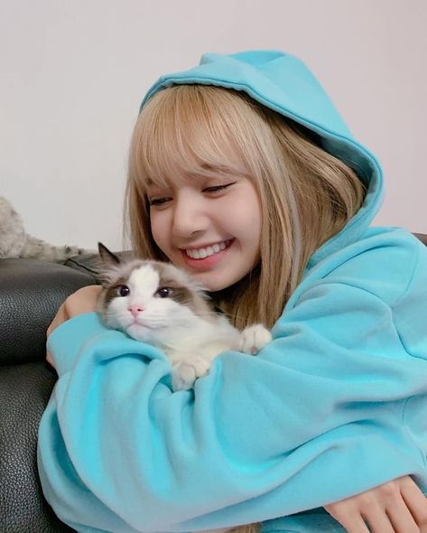 #lalisa #blackpink #psd #jisoo #jennie #kpop #manoban #cat #icon #lisa #rose  https://weheartit.com/entry/326334390 A Cat, Blue