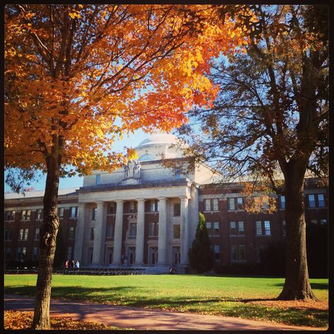 Davidson College in North Carolina -- http://meetmycollege.com/Home/College/326 Davidson College, Liberal Arts College, Uw Madison, College Aesthetic, College Stuff, Dream College, Liberal Arts, Alma Mater, Fall Leaves