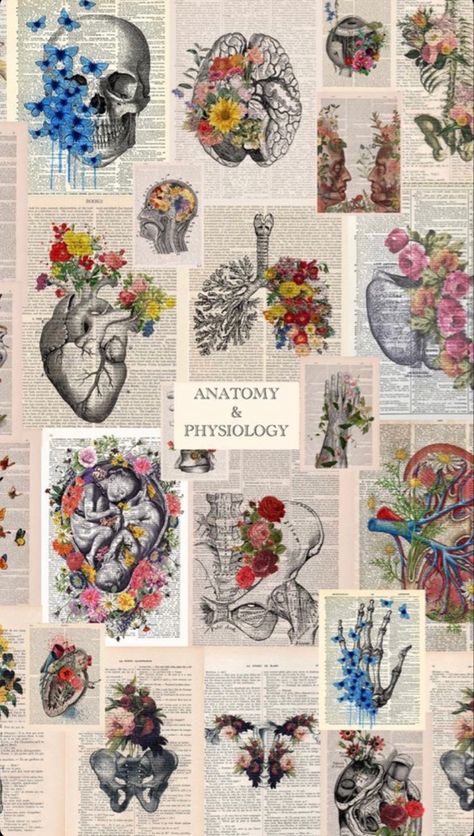 Psychology Wallpaper Desktop, Vintage Medical Art, Nursing Wallpaper, Psychology Wallpaper, Drawing Collage, Wallpaper Notebook, Medical Wallpaper, Mac Wallpaper, Medical Art