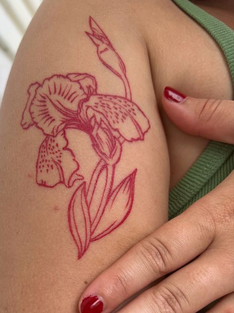 An iris tattoo done in red in on the outside of bicep Maroon Tattoo Ink, Red Ornamental Tattoo, Red Collar Bone Tattoo, Burgundy Tattoo, Matching Shoulder Tattoos, Anthurium Tattoo, Feminine Sleeve Tattoo Ideas, Sapphic Tattoo Ideas, Maroon Tattoo