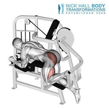 22861301-Lever-Hip-Extension-(VERSION-2)_Hips_360 Kickback Machine, Unilateral Exercises, Glute Kickback, Dumbbell Back Workout, Shoulder Workout Routine, Chest Workout Routine, Gluteus Maximus, Glute Kickbacks, Leg Workout Routine