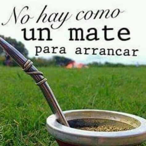 Publicación de Instagram de Tomar Mate Con Amigos • 21 de Ago de 2020 a las 10:55  UTC Yerba Mate, Instagram