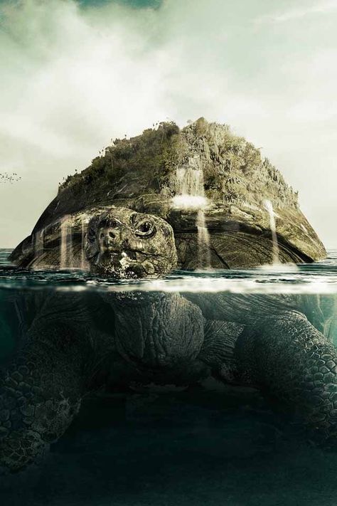 The island itself could be a giant tortoise with the tree as the shell - just massive Island Turtle, Magical Island, Turtle Island, Giant Tortoise, Magic Island, Landscaping Inspiration, Turtle Love, Turtle Art, A Turtle