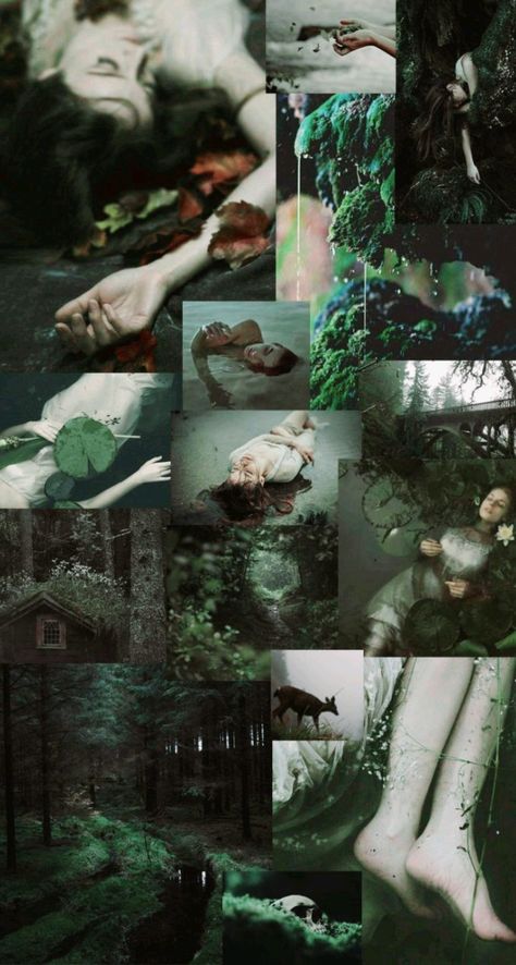 Boxtrolls Aesthetic, Swampcore Aesthetic, Aesthetic Dark Green, Forest Magic, Dark Fairytale, Fairy Wallpaper, Dark Green Aesthetic, Slytherin Aesthetic, Magic Aesthetic