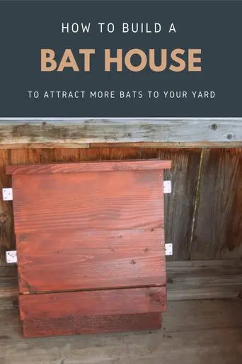 Building a bat house is the best way to attract bats to your yard and here's how to easily build one. How To Make Outdoor Bats For Halloween, How To Make A Bat House, Bat Houses Diy How To Build, Bat Box Plans, Wildlife Projects, How To Attract Bats, Bat House Diy, Build A Bat House, Attract Bats