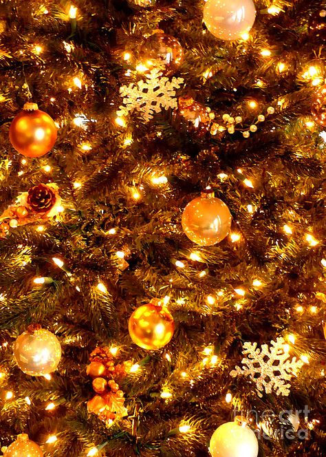 Glowing Golden Christmas Tree by Carol Groenen Orange Christmas Wallpaper, Yellow Christmas Aesthetic, Yellow Christmas Wallpaper, Orange Christmas Aesthetic, Gold Christmas Aesthetic, Golden Christmas Tree, Christmas Yellow, Christmas Aesthetics, Christmas Lights Wallpaper