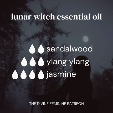 🌿🐈‍⬛✨🌙 Essential Oil Blends inspired by the witches Some blends l’ve created that you can use for aromatherapy! Some ways you can use essential oils are in… diffusers, for creating oils, adding in lotions or directly onto pulse points with caution, etc! I’ve posted lots of essential oils over on Patreon so definitely get check them out! ✨🌙 🍂🍁 Shop our metaphysical shop through the link in bio #aromatherapy #witch #witchy #essentialoils #witchtok #witchcraft #pagan #witchesoftiktok #greenwi... Witchy Essential Oils, Witchy Diffuser Blends, Spooky Essential Oil Blends, Essential Oils For Witchcraft, Witchy Essential Oil Blends, Essential Oil Witchcraft, Grey Witch, Witch Recipes, Joy Essential Oil