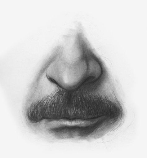 Drawing Facial Hair, Facial Drawings, Drawing Facial Features, Drawing Structure, Draw Facial Features, How To Draw A Nose, Draw A Nose, Pixar Inside Out, Kristina Webb