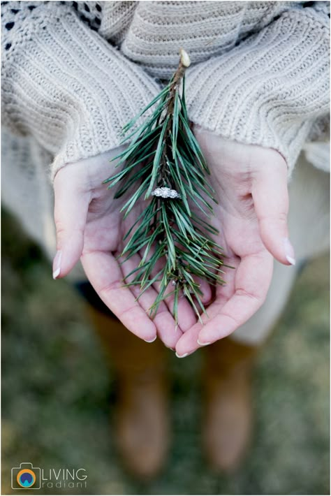 Living Radiant Photography // Maryland Best Wedding Photographer // Christmas Tree Farm Engagement Session Christmas Engagement Photos, Winter Engagement Photos Outfits, Holiday Engagement, Heart Engagement, Engagement Shots, Christmas Engagement, Ring Shots, Winter Engagement Photos, Engagement Photos Fall