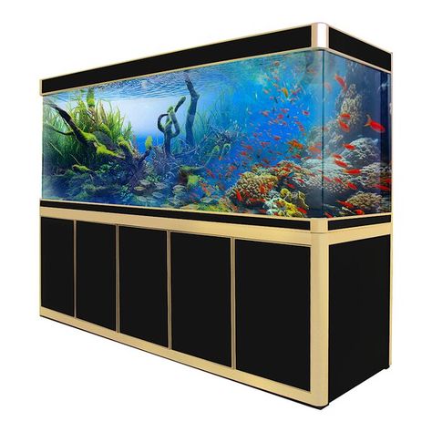 Large Fish Tanks, Glass Aquarium, Aquarium Setup, Aquarium Tank, Tanked Aquariums, Pet Fish, Submersible Pump, Aquarium Fish Tank, Aquascaping