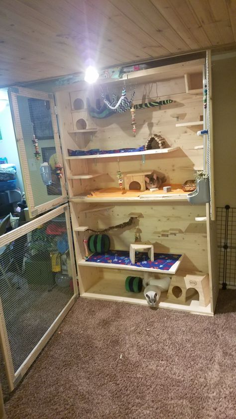 Chinchilla mansion! Designed and made by me!  Chinchilla cage Chinchillas Animal habitat Custom Chinchilla Cage, Homemade Chinchilla Cage, Chinchilla Cage Ideas Homemade, Rat Cage Diy, Degu Cage, Chinchilla Care, Chinchilla Pet, Chinchilla Cage, Ferret Cage