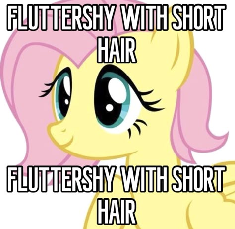 Fluttershy Short Hair, Fluttershy Hair, Mlp Funny, Tiny Horses, Mlp Memes, Mlp Comics, My Lil Pony, Mlp Fan Art, My Little Pony Drawing