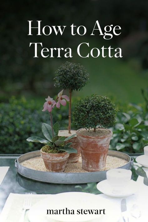 How to Age Terra-Cotta | Clay pots gradually whiten with age, showing evidence of minerals leaching from water through the years. Here's how to get that charming, weathered look without waiting.  #crafts  #diy #gardening #marthastewart How To Weather Terra Cotta Pots, Floral Combinations, Aging Terra Cotta Pots, Clay Pot Projects, Terra Cotta Clay Pots, Garden Display, Painted Flower Pots, Diy Gardening, Concrete Porch