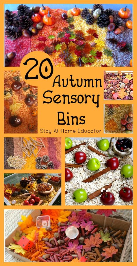 Wow! 20 autumn sensory bins perfect for any fall preschool theme! - Stay At Home Educator Fall Sensory Bin, Fall Sensory, Sensory Tubs, Fall Preschool Activities, Fall Lessons, Toddler Sensory, Sensory Boxes, Fall Preschool, Sensory Table