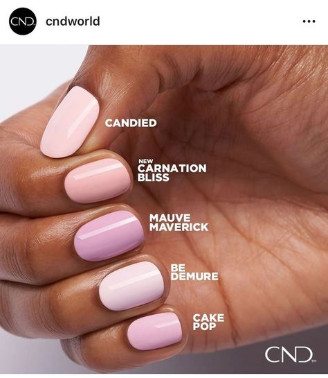 Mdbeauty professional salon on Instagram: “Tak ktoru?🤩🙈 #cndshellac #profesionalnails #malacky” Cnd Shellac Pink, Cnd Shellac Fuji Love, Pink Shellac Nails, Cnd Shellac Soft Peony, Cnd Shellac Pacific Rose, Shellac Nails Summer, Cnd Nail Polish, Pink Shellac, Cnd Shellac Beau