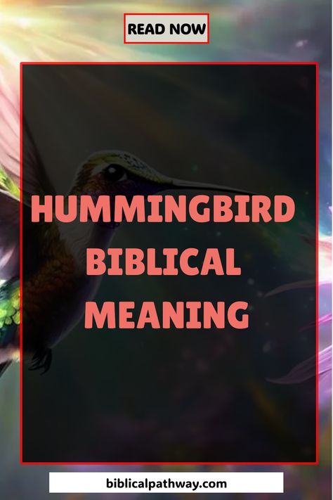 Discover the mysterious �‘Biblical Meaning’ of hummingbirds, unlocking symbolic insights that will leave you intrigued and eager for more revelations. Hummingbird Symbolism, James 1 19, Dont Be Discouraged, Slow To Speak, Biblical Teaching, Symbolic Representation, Divine Connections, Christian Symbols, Live In The Present