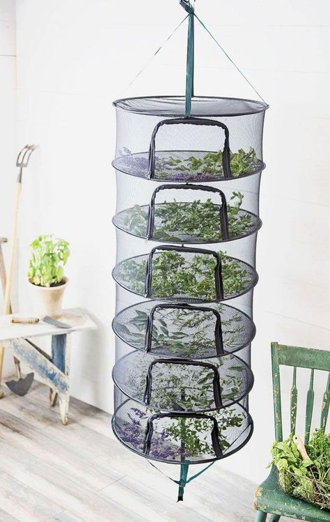 Indoor Herb Garden Ideas, Herb Garden Ideas, Herb Drying, Useful Hacks, Kitchen Hacks Food, Garden Hacks Diy, Tattoo Plant, Preserving Herbs, Dry Herbs