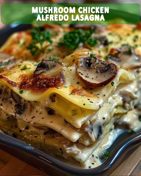 Mushroom Chicken Alfredo Lasagna: A Creamy and Comforting Delight – Foodyhealthylife Chicken Alfredo Lasagna Recipe, Mushroom Lasagne, Chicken Lasagne, Mushroom Alfredo, Chicken Alfredo Lasagna, Mushroom Lasagna, Alfredo Lasagna, Creamy Mushroom Chicken, Chicken Shredded