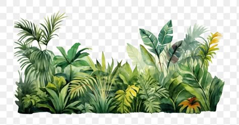 Taman Safari, Safari Baby Shower Boy, Jungle Background, Tree Photoshop, Banner Clip Art, Jungle Mural, Jungle Tree, Leaves Png, Panoramic Art