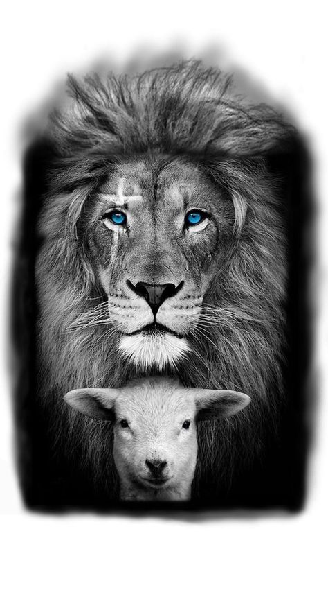 Lamb And Lion Tattoo, Lion And Lamb Tattoo, Black Sheep Tattoo, Lioness Tattoo Design, Lamb Drawing, Lamb Tattoo, Tattoo Fixes, Sheep Tattoo, Tattoo Samples